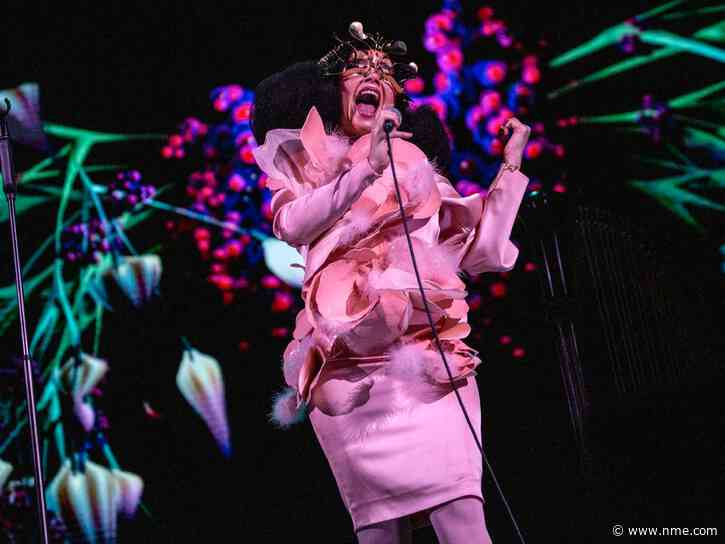 Björk to live-stream three orchestral performances in aid of women’s charity