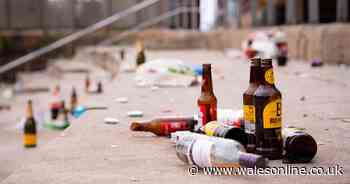 Police zero tolerance warning after Cardiff Bay mass gathering