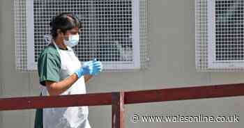 Five more Covid-19 deaths in Wales taking total past 1,500