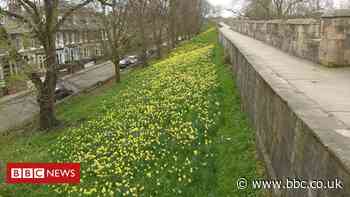 York's walls will have 'one-way' system when they reopen