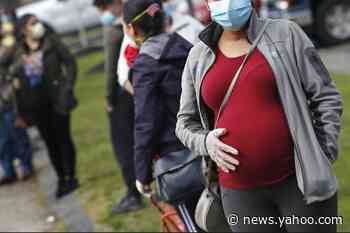U.S. officials change virus risk groups, add pregnant women