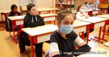 What will happen if a child or teacher at school gets coronavirus