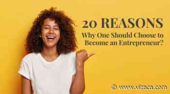 Why You Should Become An Entrepreneur? 20 Reasons - Vizaca.com