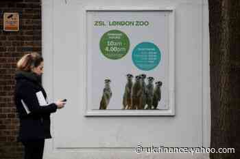 Coronavirus: £100m rescue package for England’s zoos