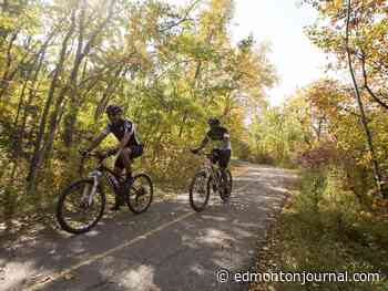Keith Gerein: For an Edmonton city council short on project funds, small has to be beautiful - Edmonton Journal