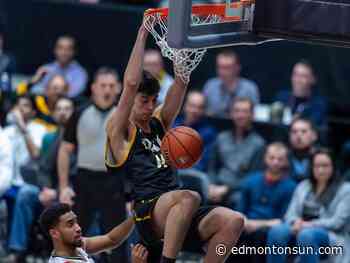 Edmonton Stingers rookie Sascha Kappos looking forward to CEBL Summer Series - Edmonton Sun