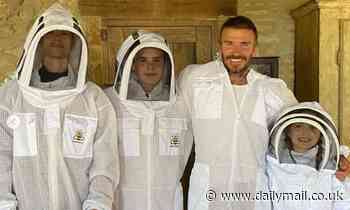 David Beckham and children Romeo, Cruz and Harper don full beekeeper suits