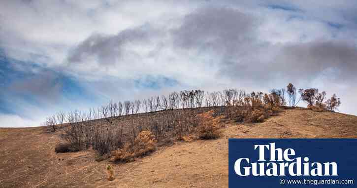 'Shell shock': Kangaroo Island struggles to recover amid bushfire grief and Covid-19