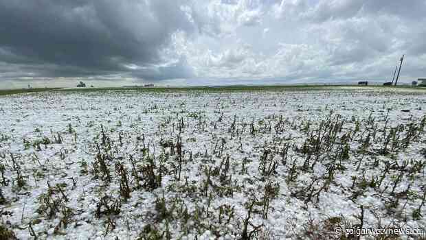 'Be prepared for severe weather': Watch, warnings called for Calgary and area