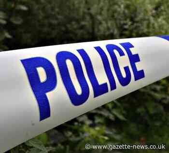 Burglars steal Rolex in Witham burglary