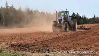Prince Edward Island potato growers ‘very concerned’ by drought - Potato News Today