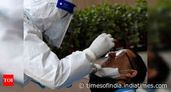 Gloves off: Analyse cause of pandemic, says India