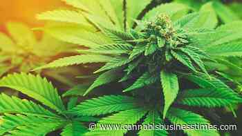 Oregon Extends Curbside Delivery, New Jersey Approves Home Delivery for Medical Cannabis Patients in Response to Ongoing COVID-19 Pandemic: Week in Review - Cannabis Business Times