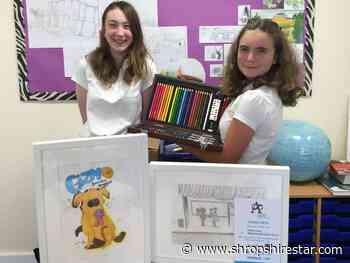 Market Drayton pupils continue winning in art and writing competitions - shropshirestar.com