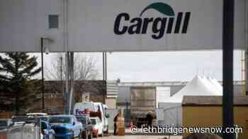 Beef-packing plants in Brooks and High River resume full operations - Lethbridge News Now