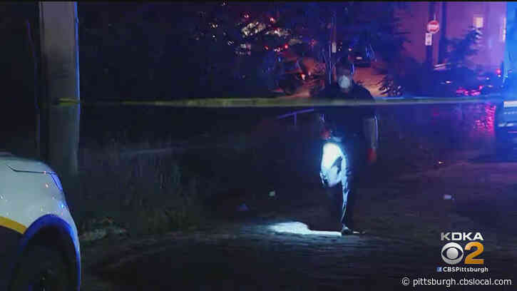 Teenager In Critical Condition After Being Shot Multiple Times On Mt. Washington