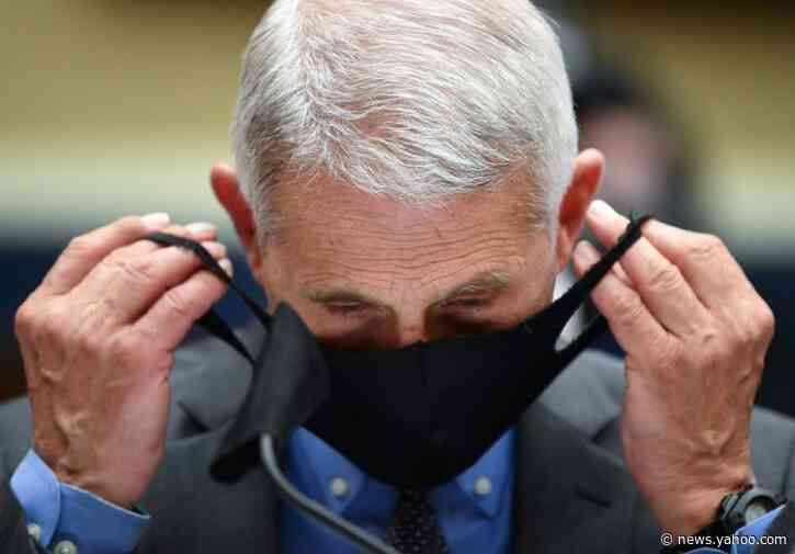 Fauci warns of 'serious problem' as Texas, Florida halt reopening
