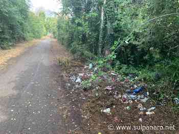 Massa Finalese, discarica abusiva sfalciata insieme all'erba - SulPanaro