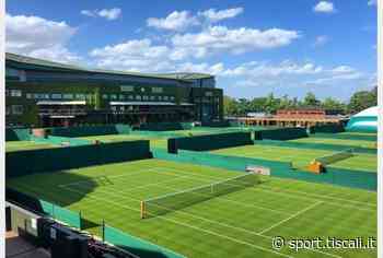 Là dove c'era l'erba ora c'è… l'intelligenza artificiale - Tiscali.it