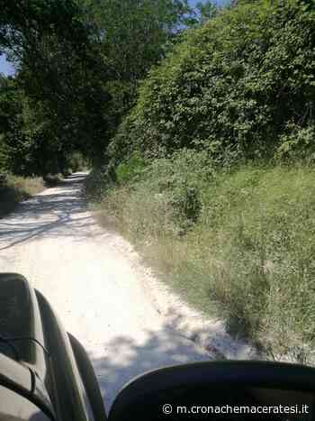 Il Comune non taglia l'erba, la segnalazione dei residenti - Cronache Maceratesi