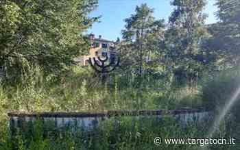 Erba alta attorno alle scuole di Mondovì: Forza Italia parla di "foresta verde dell'incuria" - TargatoCn.it