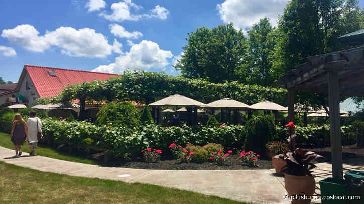 Narcisi Winery Employee Tests Positive For Coronavirus