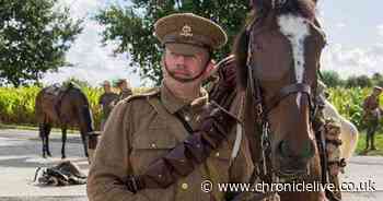 Hero soldier's desperate appeal after warhorse that is 'his life' stolen