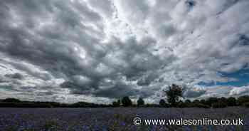 Met Office issues yellow warning for rain as sweltering heatwave ends