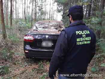 Auto robado en Buenos Aires fue abandonado en un pinar de Puerto Rico - EL TERRITORIO