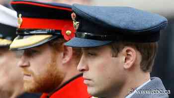 Going their separate ways: Scrutiny grows on bond between William and Harry