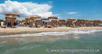 Travel firms report record sales ahead of lifted restrictions