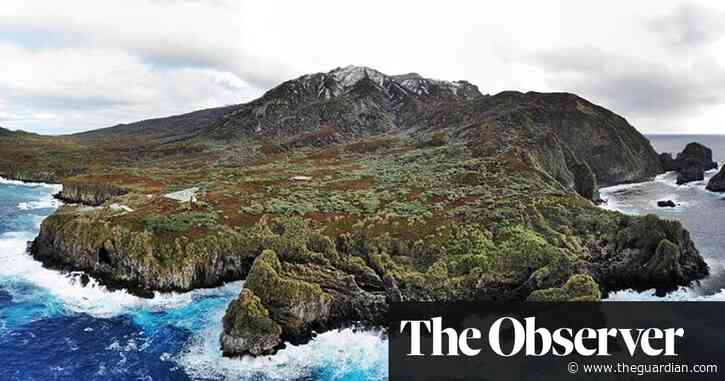 Should we cull one species to save another?