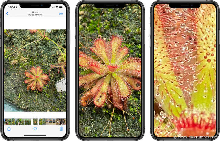 iOS 14 Lets You Zoom Further Into Photos