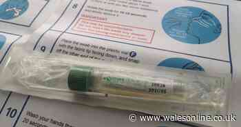 Here's what happens when you take a home test for Covid-19