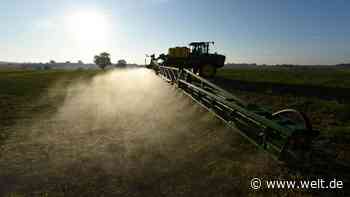 Diese Risiken birgt Bayers Milliarden-Vergleich