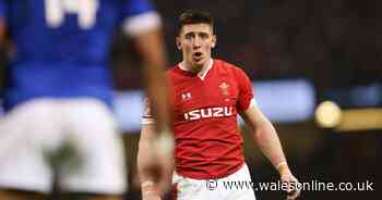 Glut of Wales stars snubbed as England duo pick their Lions XV