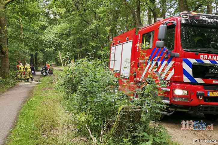 Enorme tak breekt af en valt op fietspad in Bennekom