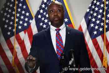 Republikeinse senator vindt white power-retweet Trump ‘beledigend’