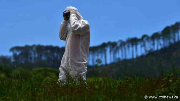 The novel coronavirus has now infected more than 10 million people