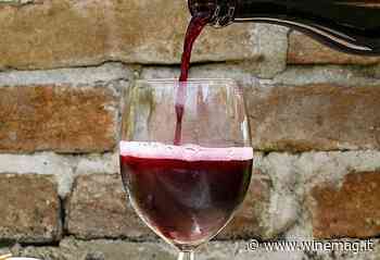 Lambrusco revolution: Consorzio Unico tra Modena e Reggio Emilia - WineMag.it