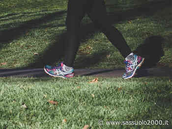 Sport nei parchi: tante a Modena le società che hanno aderito - sassuolo2000.it - SASSUOLO NOTIZIE - SASSUOLO 2000