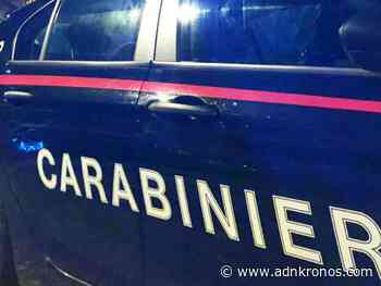Modena, uomo assassinato a coltellate durante una lite - Adnkronos