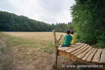 Van bomenbingo tot blotevoetenpad: Klompenpad Kids in Wageningen is leerzaam en leuk