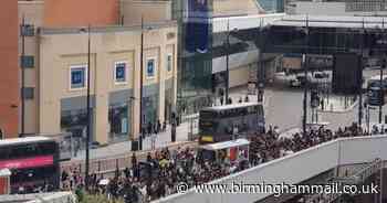 Watch screaming Canking Youtube fans clamour for meet and greet