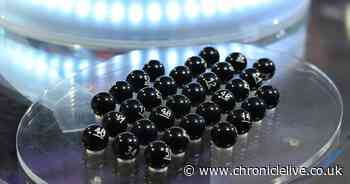 FA Cup semi-final draw: Magpies draw Arsenal if they can recover