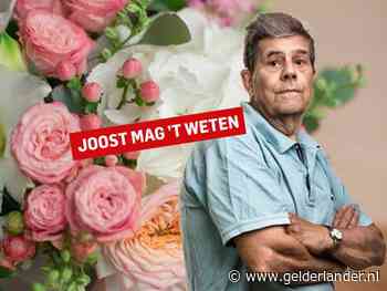 Ik kreeg bloemen van iemand: moet ik moeite doen die persoon te vinden?
