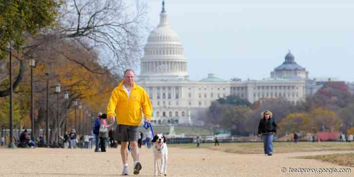 Vacancy rates are soaring in Washington DC's normally recession-proof office market. Here's how experts think this downturn will play out — and why some are still optimistic.