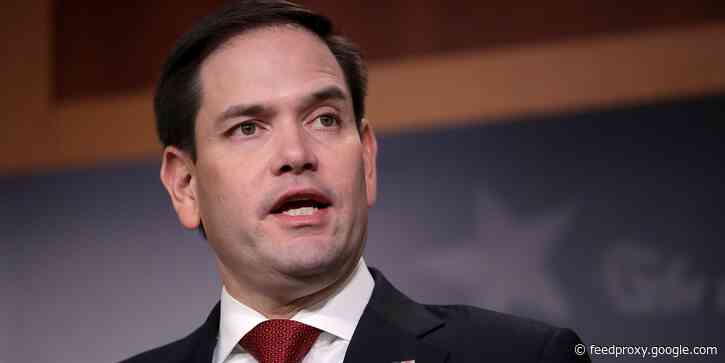 A new GOP bill unveiled by Marco Rubio would give stimulus checks to families with unauthorized immigrants that were left out of the initial wave
