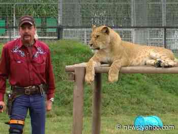 The zoo from 'Tiger King' is being investigated after photos appear to show lions infested with maggots and flies