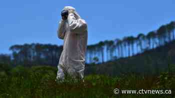 COVID-19 deaths surpass 500,000 globally, with more than 10 million infected